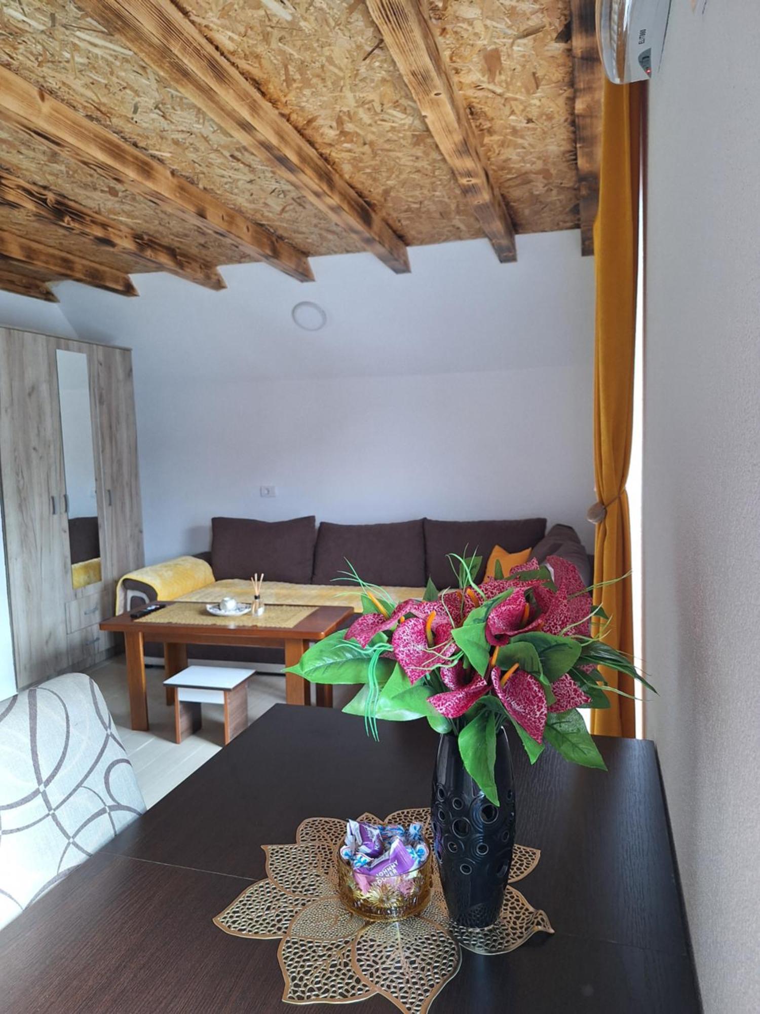 Apartmani Lena Plužine Extérieur photo