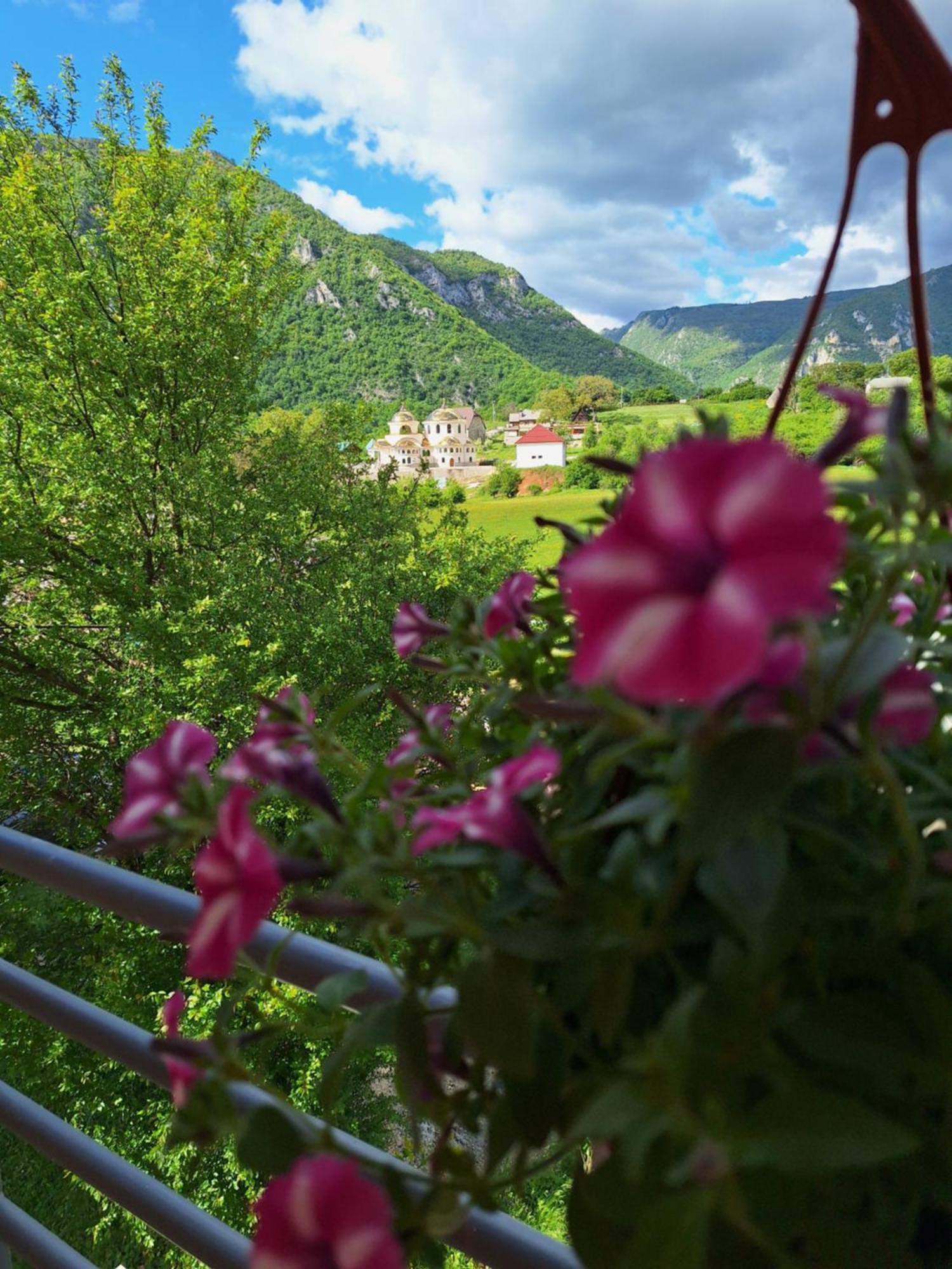 Apartmani Lena Plužine Extérieur photo